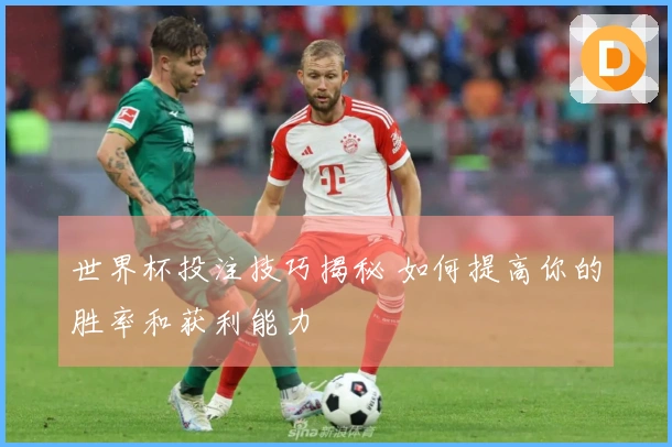世界杯投注技巧揭秘 如何提高你的胜率和获利能力