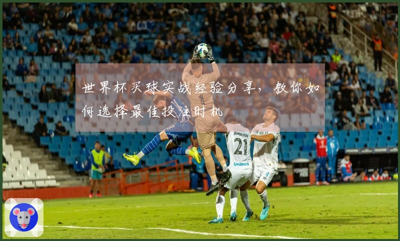 世界杯买球实战经验分享，教你如何选择最佳投注时机