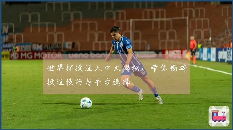 世界杯投注入口大揭秘，带你畅游投注技巧与平台选择