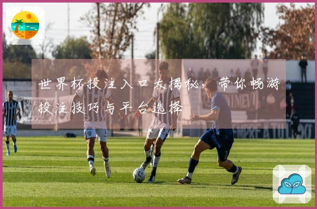 世界杯投注入口大揭秘，带你畅游投注技巧与平台选择