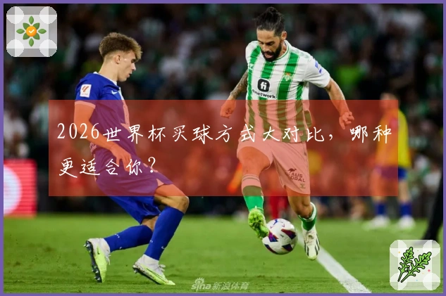 2026世界杯买球方式大对比，哪种更适合你？