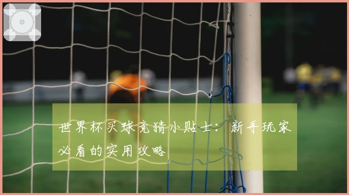 世界杯买球竞猜小贴士：新手玩家必看的实用攻略