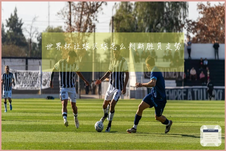 世界杯让球买球怎么判断胜负走势