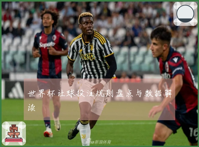 世界杯让球投注规则盘点与数据解读