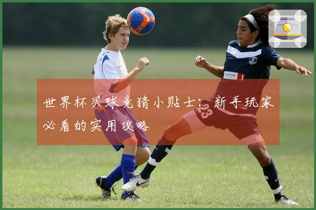世界杯买球竞猜小贴士：新手玩家必看的实用攻略