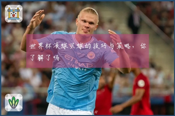 世界杯滚球买球的技巧与策略，你了解了吗