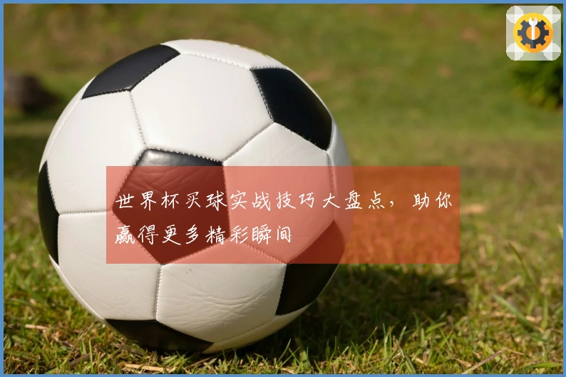 世界杯买球实战技巧大盘点，助你赢得更多精彩瞬间