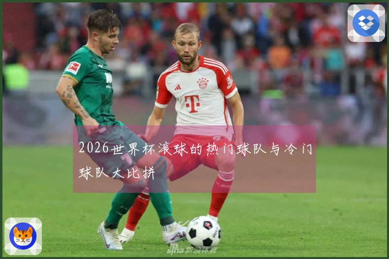 2026世界杯滚球的热门球队与冷门球队大比拼