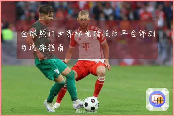 全球热门世界杯竞猜投注平台评测与选择指南