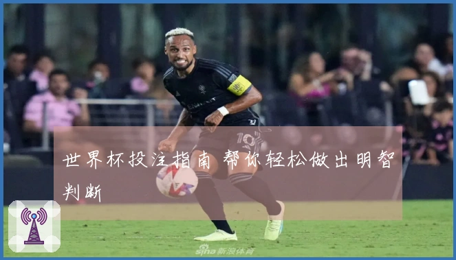 世界杯投注指南 帮你轻松做出明智判断