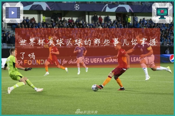 世界杯滚球买球的那些事儿你掌握了吗