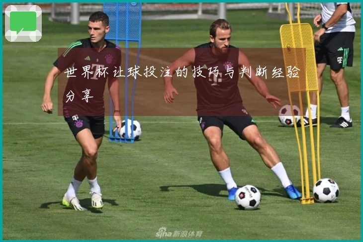 世界杯让球投注的技巧与判断经验分享