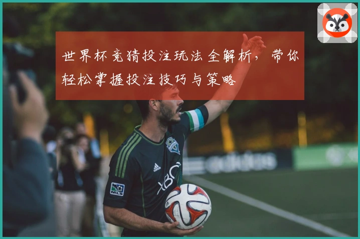 世界杯竞猜投注玩法全解析,带你轻松掌握投注技巧与策略
