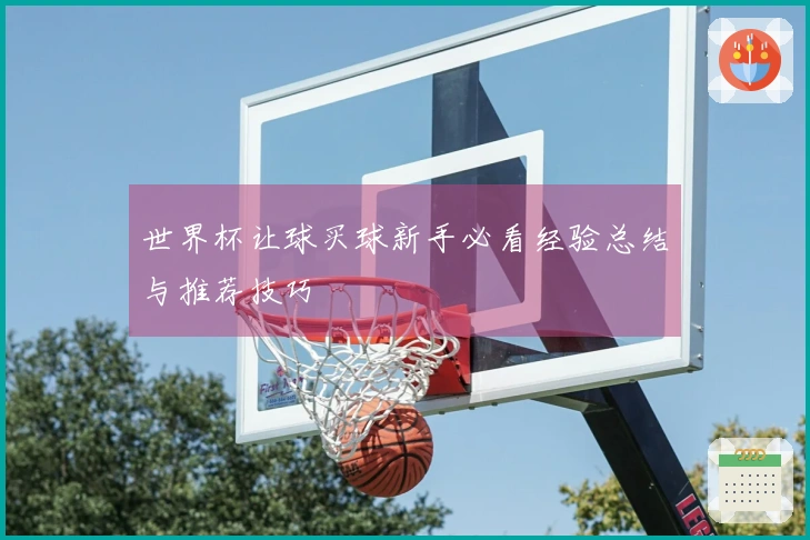 世界杯让球买球新手必看经验总结与推荐技巧