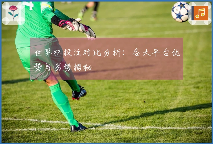 世界杯投注对比分析：各大平台优势与劣势揭秘