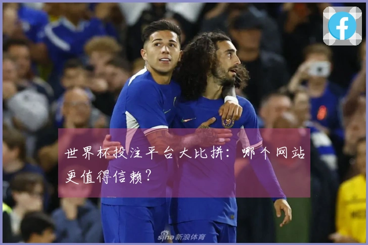 世界杯投注平台大比拼：哪个网站更值得信赖？