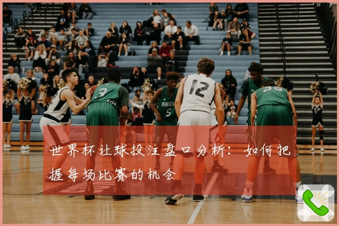 世界杯让球投注盘口分析：如何把握每场比赛的机会